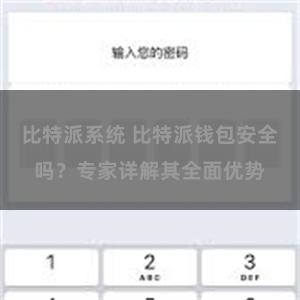 比特派系统 比特派钱包安全吗？专家详解其全面优势