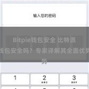 Bitpie钱包安全 比特派钱包安全吗？专家详解其全面优势