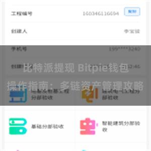 比特派提现 Bitpie钱包操作指南：多链资产管理攻略