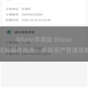 Bitpie苹果版 Bitpie钱包操作指南：多链资产管理攻略