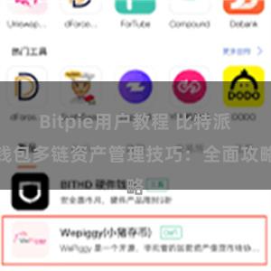 Bitpie用户教程 比特派钱包多链资产管理技巧：全面攻略