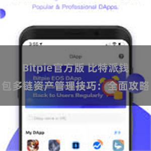 Bitpie官方版 比特派钱包多链资产管理技巧：全面攻略