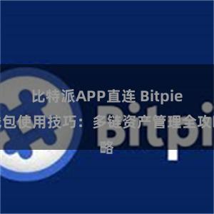 比特派APP直连 Bitpie钱包使用技巧：多链资产管理全攻略