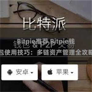 Bitpie推荐 Bitpie钱包使用技巧：多链资产管理全攻略