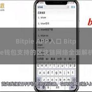 Bitpie APP入口 Bitpie钱包支持的区块链网络全面解析