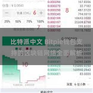 比特派中文 Bitpie钱包支持的区块链网络全面解析