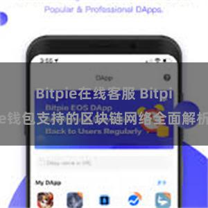 Bitpie在线客服 Bitpie钱包支持的区块链网络全面解析