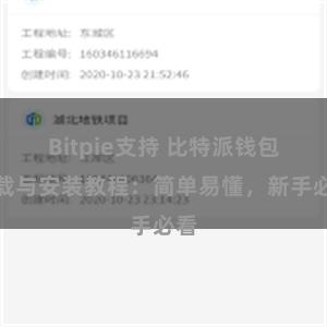 Bitpie支持 比特派钱包下载与安装教程：简单易懂，新手必看