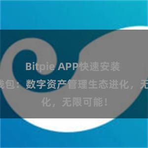 Bitpie APP快速安装 比特派钱包：数字资产管理生态进化，无限可能！