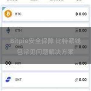 Bitpie安全保障 比特派钱包常见问题解决方案