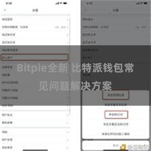 Bitpie全新 比特派钱包常见问题解决方案