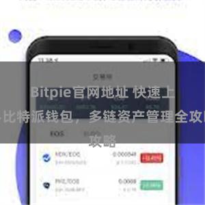 Bitpie官网地址 快速上手比特派钱包，多链资产管理全攻略