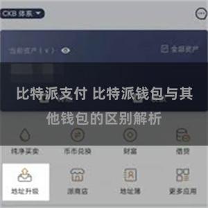 比特派支付 比特派钱包与其他钱包的区别解析