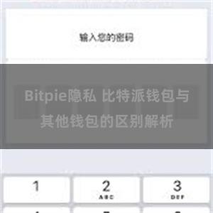 Bitpie隐私 比特派钱包与其他钱包的区别解析