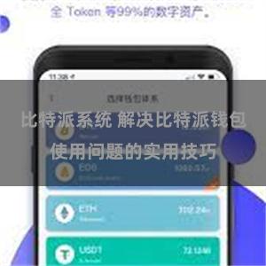 比特派系统 解决比特派钱包使用问题的实用技巧