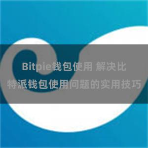 Bitpie钱包使用 解决比特派钱包使用问题的实用技巧