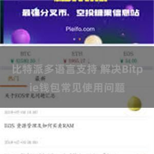 比特派多语言支持 解决Bitpie钱包常见使用问题