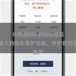 比特派iOS Bitpie钱包：强大的隐私保护功能，守护您的资产