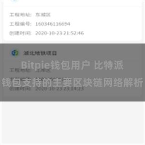 Bitpie钱包用户 比特派钱包支持的主要区块链网络解析