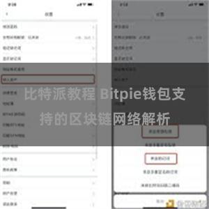 比特派教程 Bitpie钱包支持的区块链网络解析