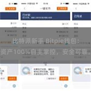 比特派新手 Bitpie钱包：资产100%自主掌控，安全可靠。