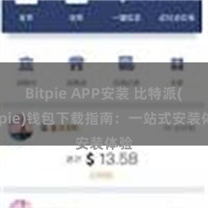 Bitpie APP安装 比特派(Bitpie)钱包下载指南：一站式安装体验