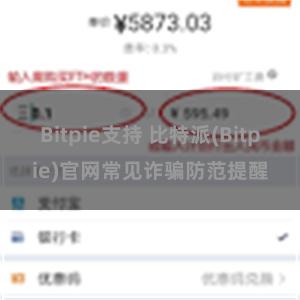 Bitpie支持 比特派(Bitpie)官网常见诈骗防范提醒