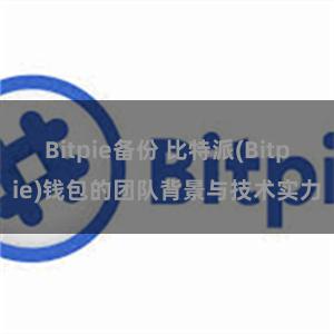 Bitpie备份 比特派(Bitpie)钱包的团队背景与技术实力