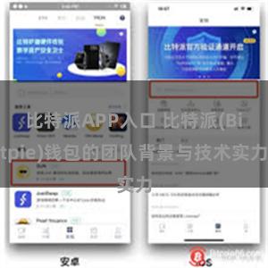 比特派APP入口 比特派(Bitpie)钱包的团队背景与技术实力