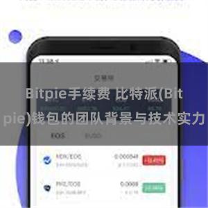 Bitpie手续费 比特派(Bitpie)钱包的团队背景与技术实力