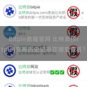 Bitpie教程官网 比特派(Bitpie)交易历史记录在哪里查看？