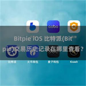 Bitpie iOS 比特派(Bitpie)交易历史记录在哪里查看？