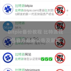 Bitpie备份教程 比特派钱包官方最新公告及新闻