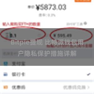 Bitpie提现 比特派钱包用户隐私保护措施详解