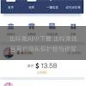 比特派APP下载 比特派钱包用户隐私保护措施详解