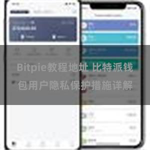 Bitpie教程地址 比特派钱包用户隐私保护措施详解