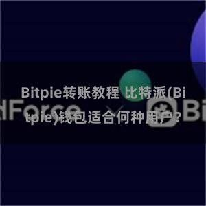 Bitpie转账教程 比特派(Bitpie)钱包适合何种用户？