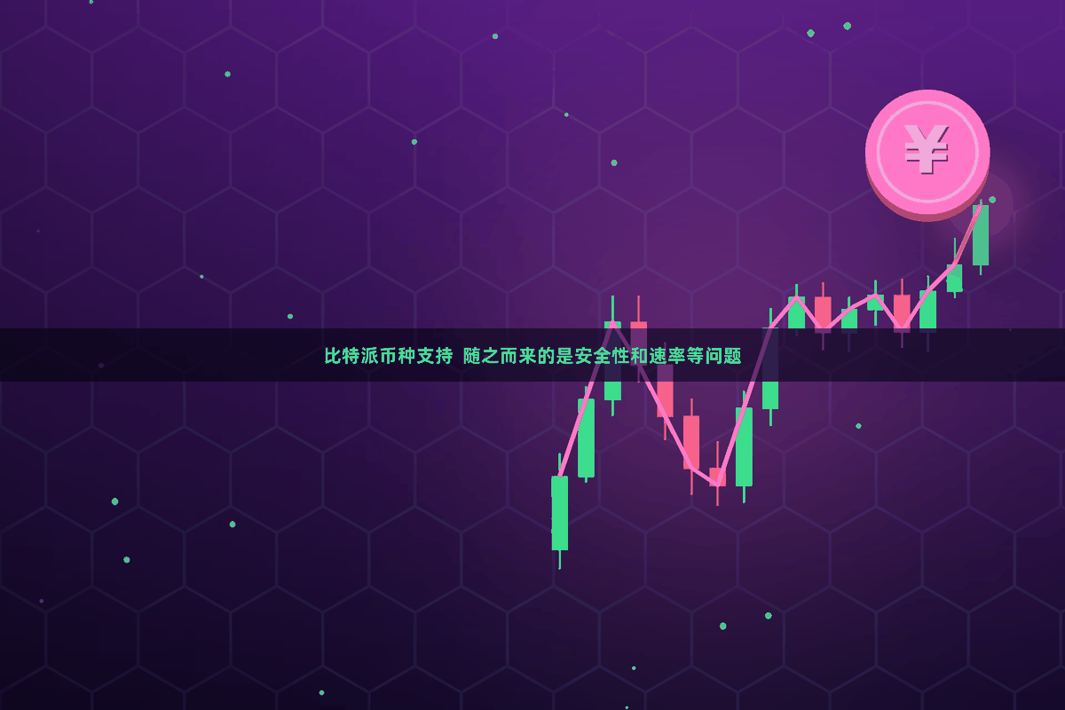 比特派币种支持  随之而来的是安全性和速率等问题